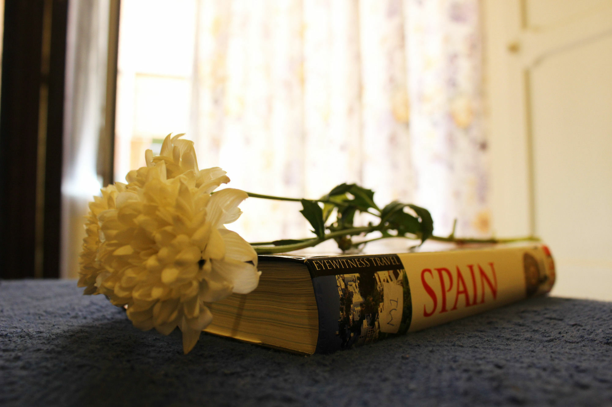 Pension Lisdos Sevilla Bagian luar foto